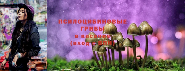 прущая мука Аркадак